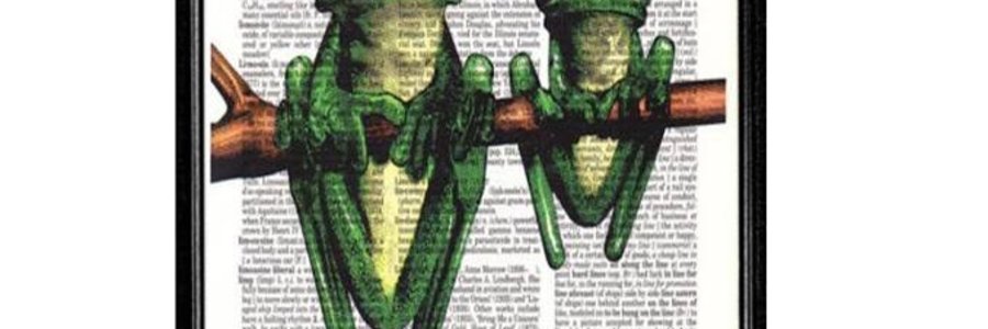 Stanford River talk - Leap Frog Comp_1